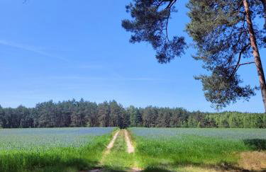 Domek Bory Tucholskie laso przestrzeń - Foto 14