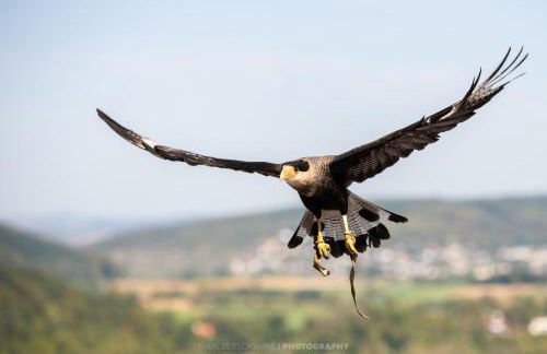 Wohnen auf der Ritterburg - Foto 32
