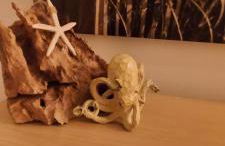 Acantilados de Los Gigantes, Islas Canarias, España - Foto 15