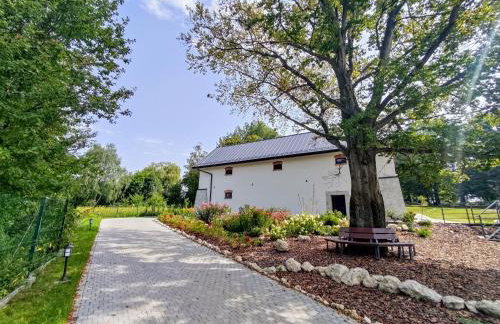 Winnica NOVI - apartamenty - Photo 9