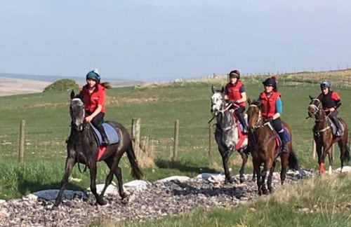 Heatherlea Holiday Cottage - Foto 19