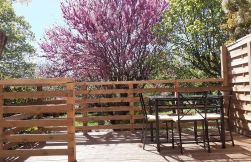 La Pigoussette - Photo 45