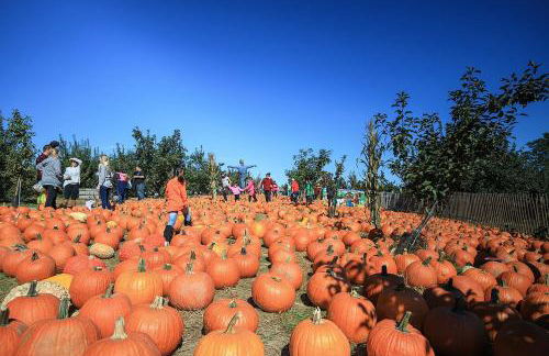 Hudson Valley Cottage Rental 3 bedrooms Monroe NY - Foto 36