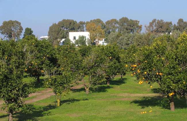 Golf Club Metaponto - Photo 27