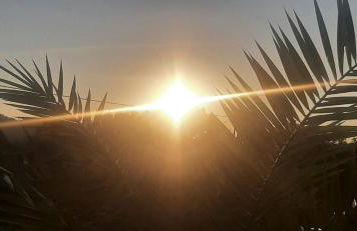 Quinta Inge - Foto 23