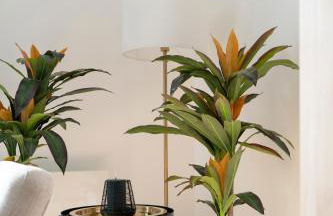 L'éclat de Gambetta - Place Stanislas - 6 Pers - Foto 36