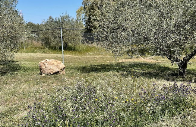 Agriturismo Corte Degli Ulivi - Foto 55