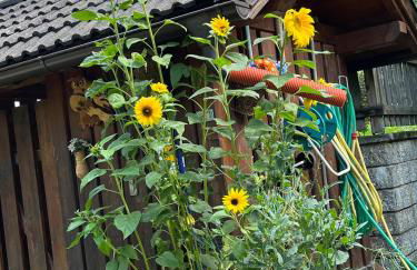 Mes Lastei - Foto 42