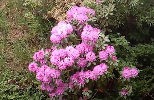 Ferienwohnung Schmallenberg - Foto 39