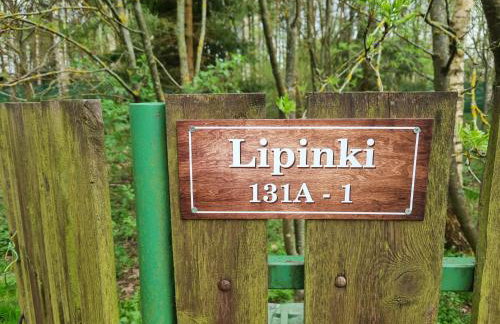 Dom Pod Brzozami Lipinki Bory Tucholskie basen - psy, koty mile widziane! - Photo 37