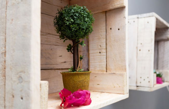 Sea Studio - Sea-facing - Foto 15