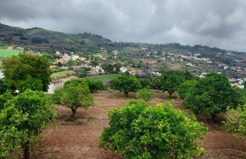 La Casa de Teror - Foto 16