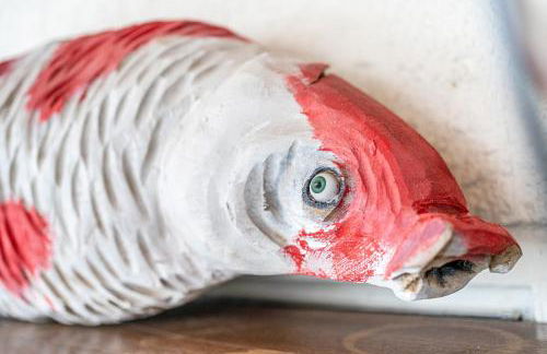 Monteurwohnung Kotte - Foto 30