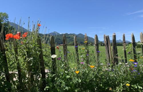 Apartment Schellenberg 20 - Photo 7