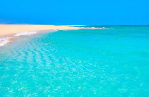 Ele House - Photo 25