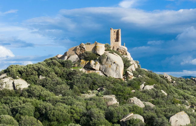Tour arqueológico por Olbia - Foto 2