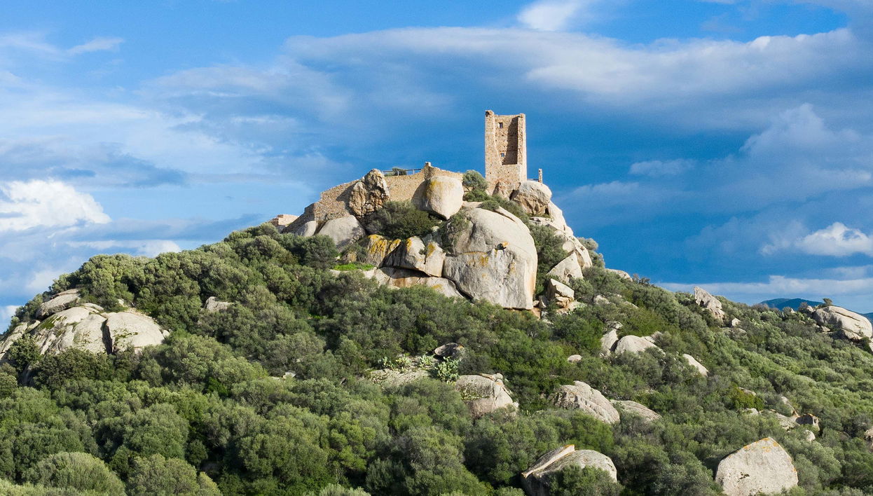 Olbia Archaeology Tour