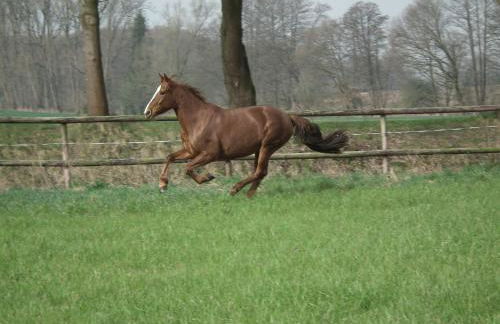 Ferienwohnung "Landblick" - Foto 26