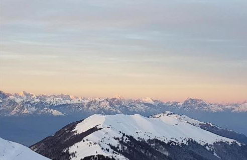 Fly House - Photo 35