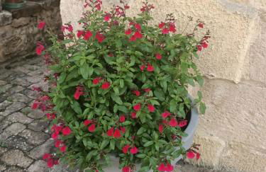 le gîte du lac - Foto 15