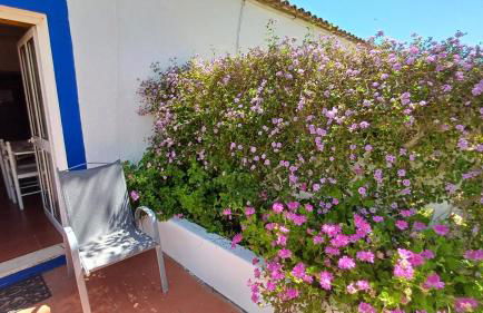 Monte Da Serralheira Agro Turismo - Foto 69