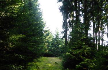 Ferienhof Berghof - Foto 68