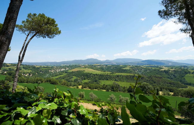 Villa in Lazio With Pool and Vineyards - Foto 29