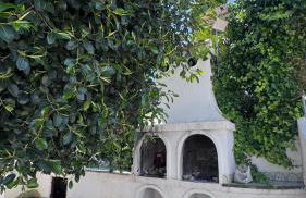 Apartamento Agua Rosa - Foto 44