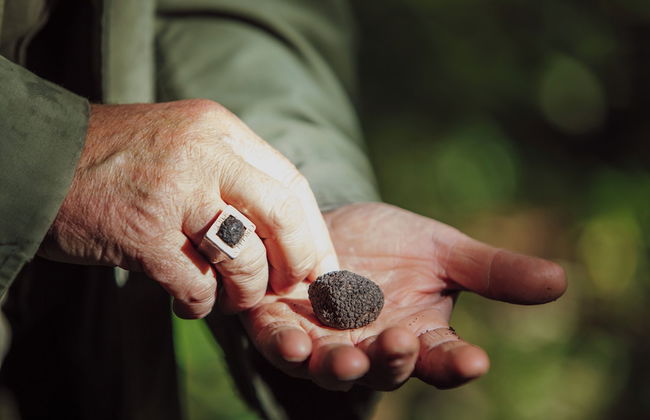 Casa Villa Rentals by Torre a Cona - Foto 37