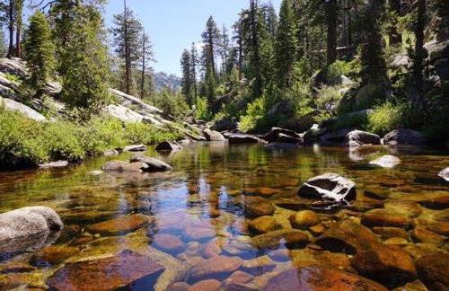 The Elderberry Retreat - It's a Dream Location! - Foto 68