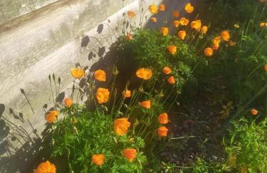 Yew Tree Barn - Foto 39