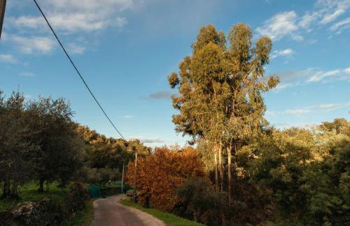 Azeite de Marvão, Olivoturismo casa Venda do Lagar - Foto 25