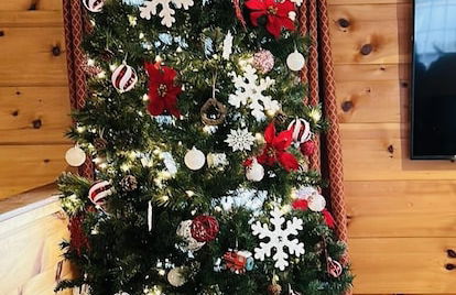 Fireflies and Moonshine - Foto 3