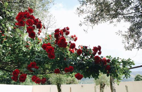 Eido do Luou - Casa de férias com piscina - Foto 25