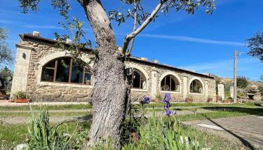 Agriturismo PETRA LUCANA - Photo 3, Garden, Garden view