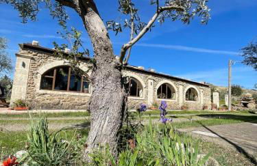 Agriturismo PETRA LUCANA - Photo 3