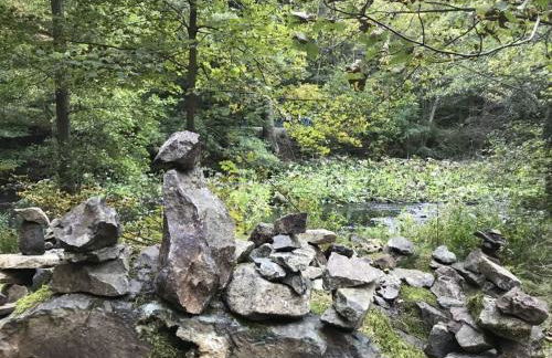 holiday home in the Franconian Forest - Foto 35