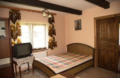 Dwor Trzesniow - Foto 26