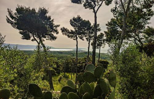 Lunamora 4 - Foto 40