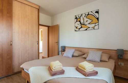 Breg Ivanovci - Three Bedroom Villa with Swimming Pool - Photo 21