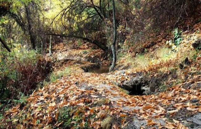 Apartamentos Balcón del Cielo - Foto 45