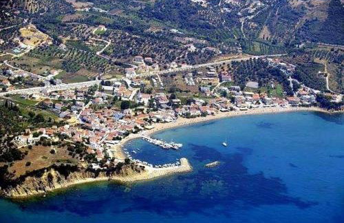 Avocado house - Foto 38