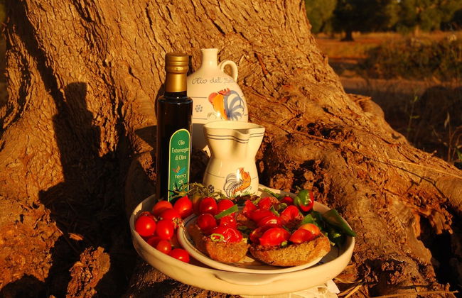 Terra di Leuca - Foto 24