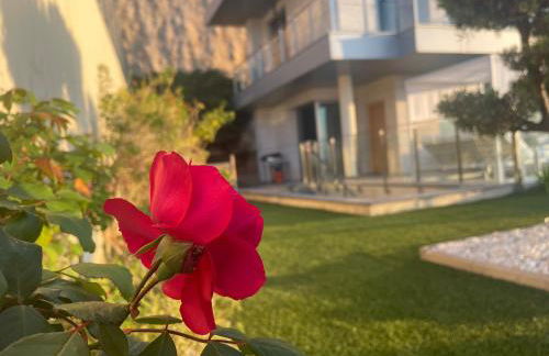 Altos de Finestrat - Foto 10