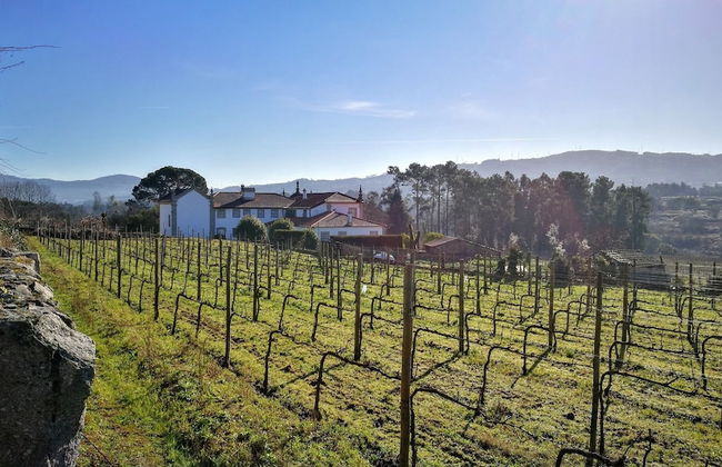 Solar das Bouças - Foto 27