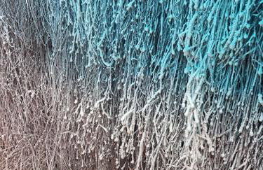 Domek Góralski nad Czorsztynem - Kluszkowce - Foto 18