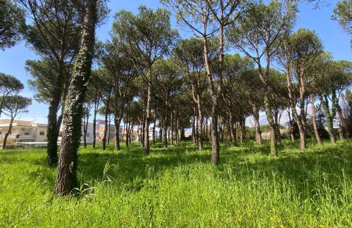 Confortevole appartamento tra spiaggia e pinete - Foto 12