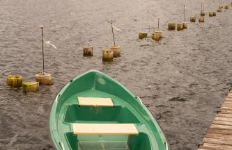 Przystań Kormoran - Foto 42