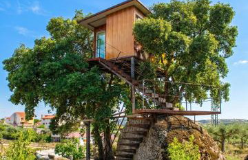 Comfortable Bungalow Pinhel, pool - Foto 11