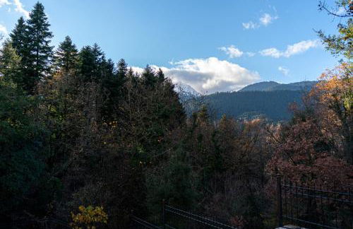 The Foxes - Modern 1BD apartment in the Forest - Foto 42